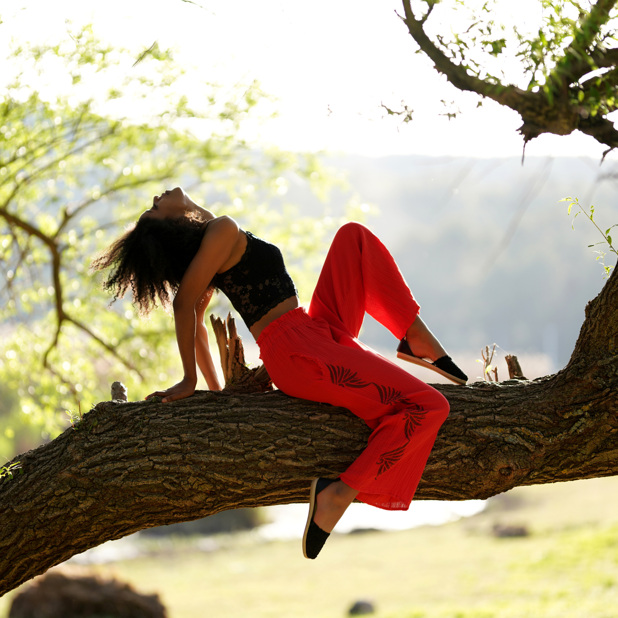 Women Mousseline Cotton Elastic Waist Pants