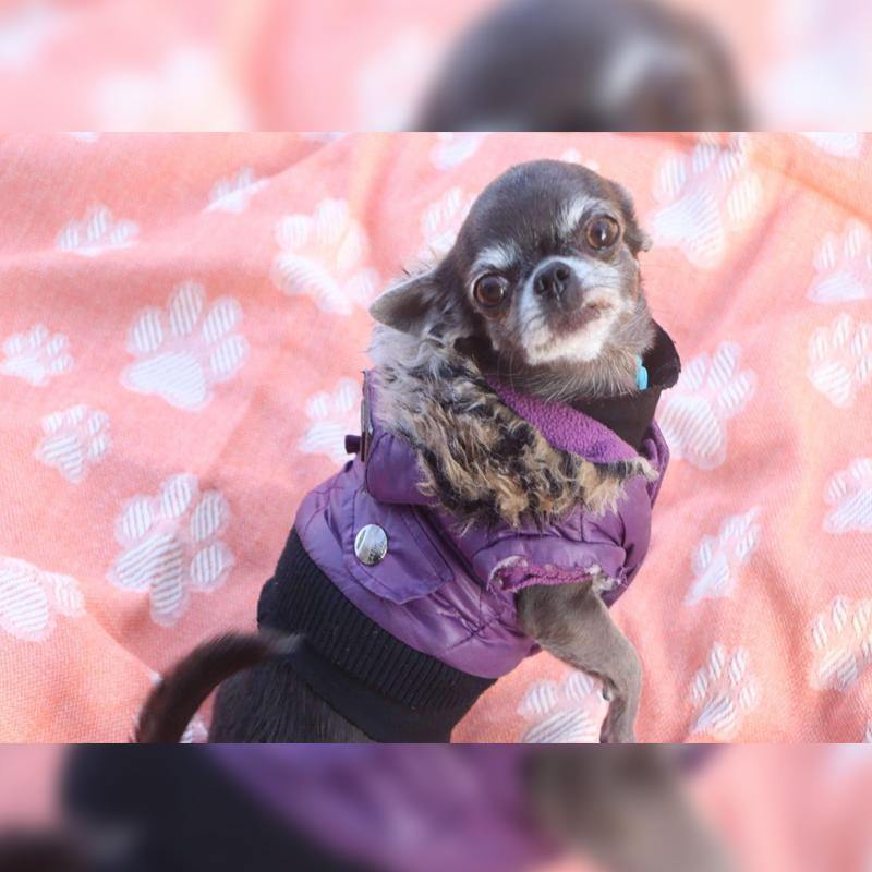 Hammam Towels- Throws- Blankets- Bathrobes- Beach Dresses- Throw Pillow