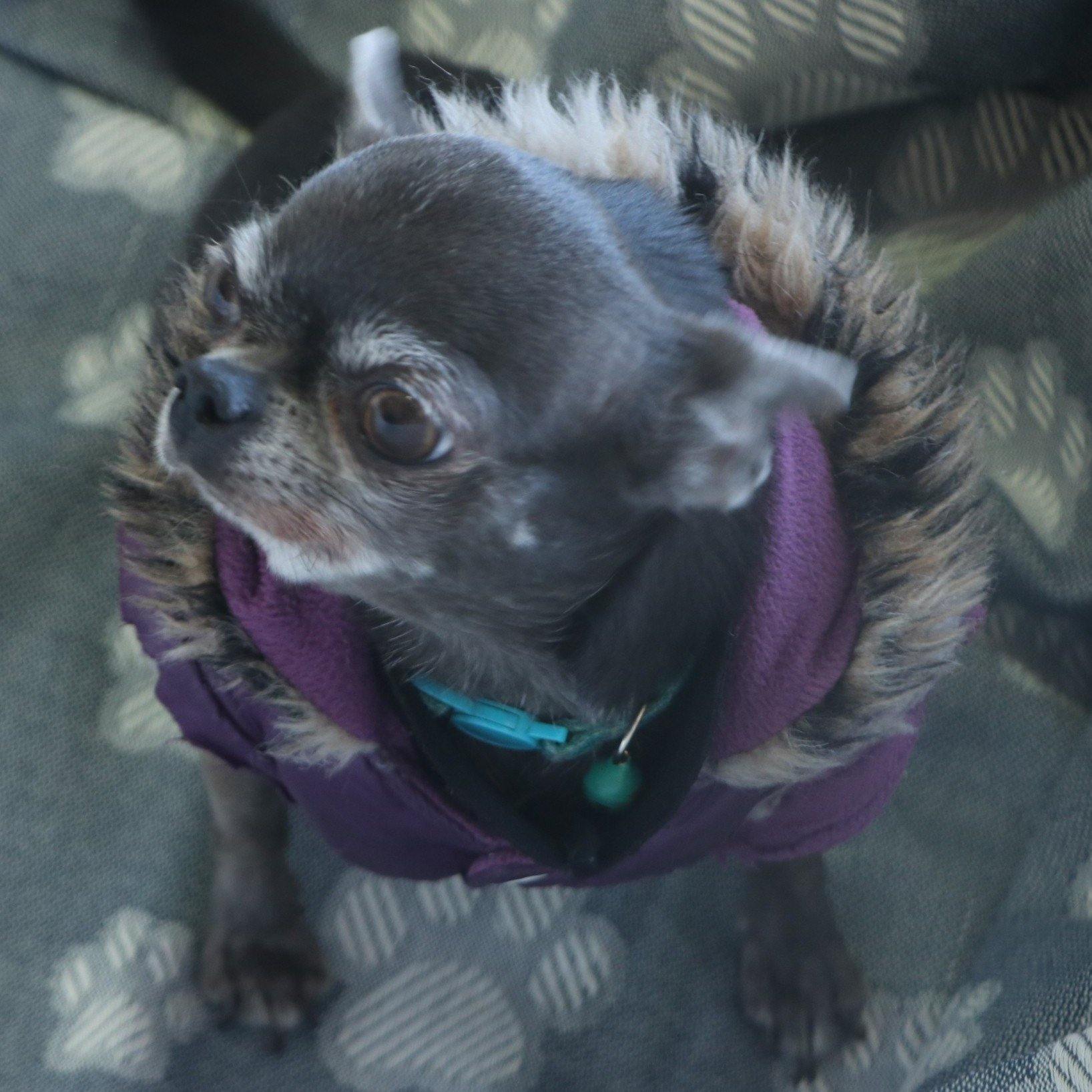 Hammam Towels- Throws- Blankets- Bathrobes- Beach Dresses- Throw Pillow