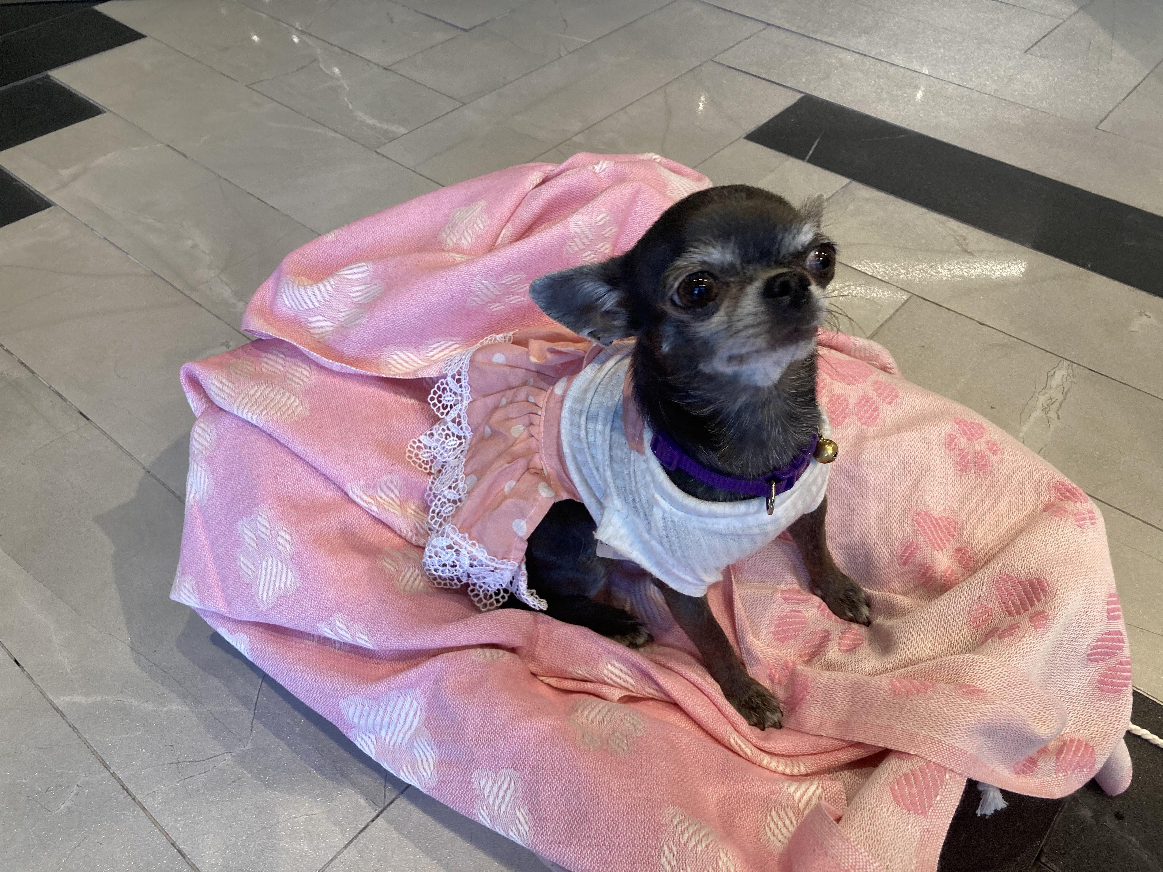 Hammam Towels- Throws- Blankets- Bathrobes- Beach Dresses- Throw Pillow