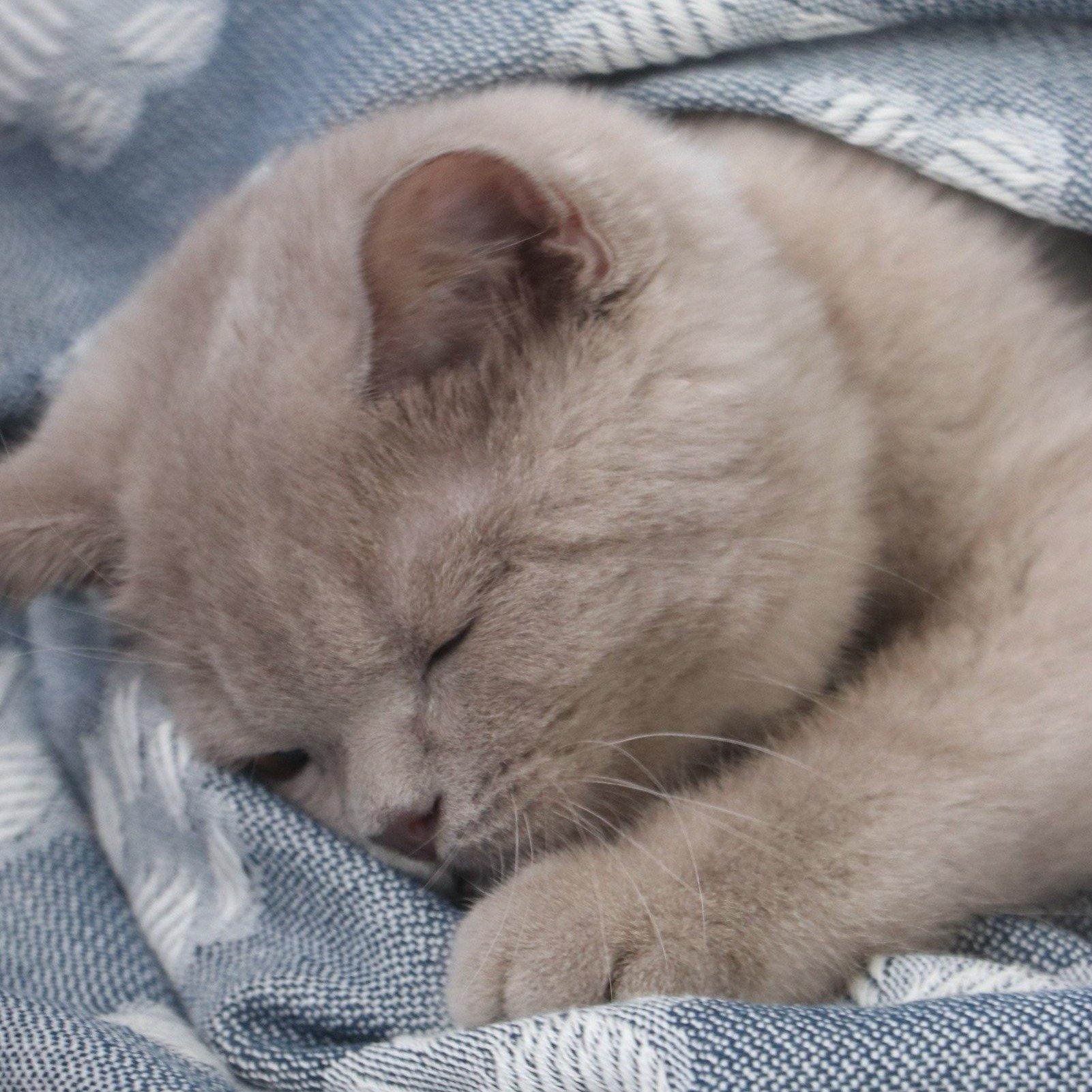 Hammam Towels- Throws- Blankets- Bathrobes- Beach Dresses- Throw Pillow