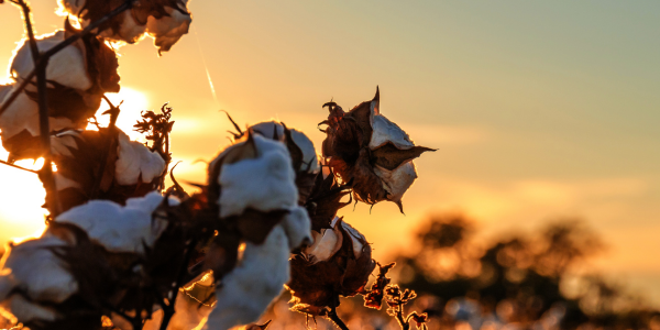 Lightweight and absorbent Turkish towel folded on a bathroom counter